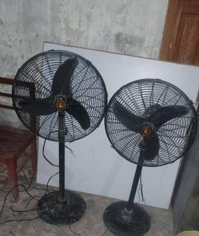 Fans for sell.