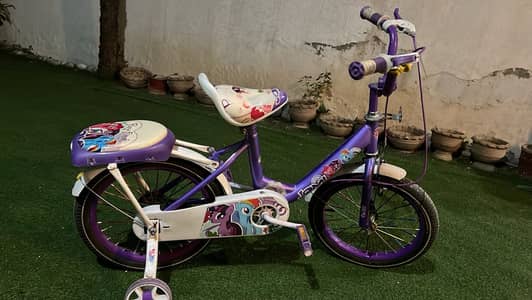 Cycle in new condition