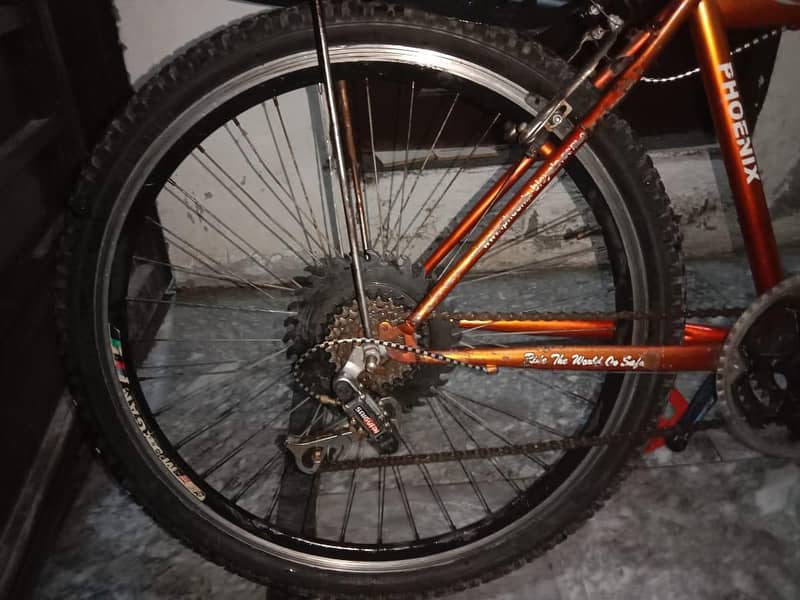 phoenix cycle 2