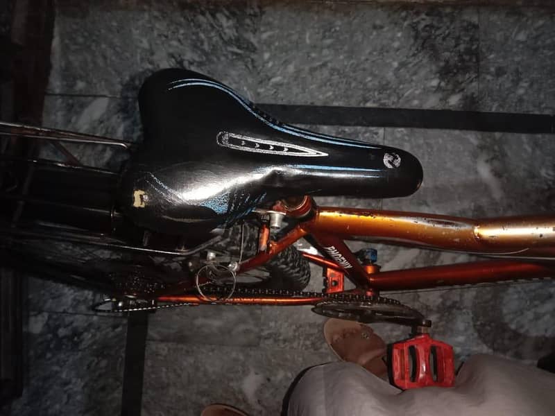 phoenix cycle 3