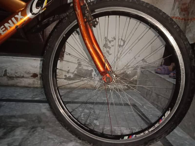phoenix cycle 4