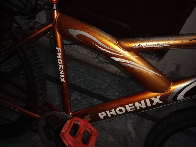 phoenix cycle 5