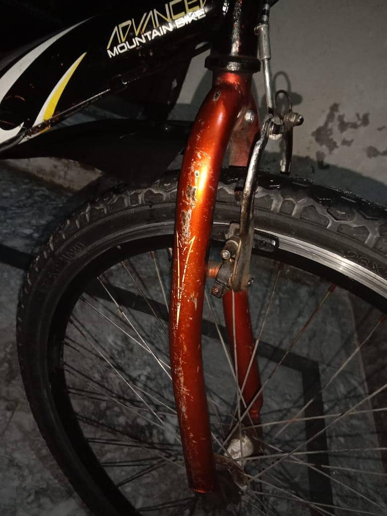 phoenix cycle 6