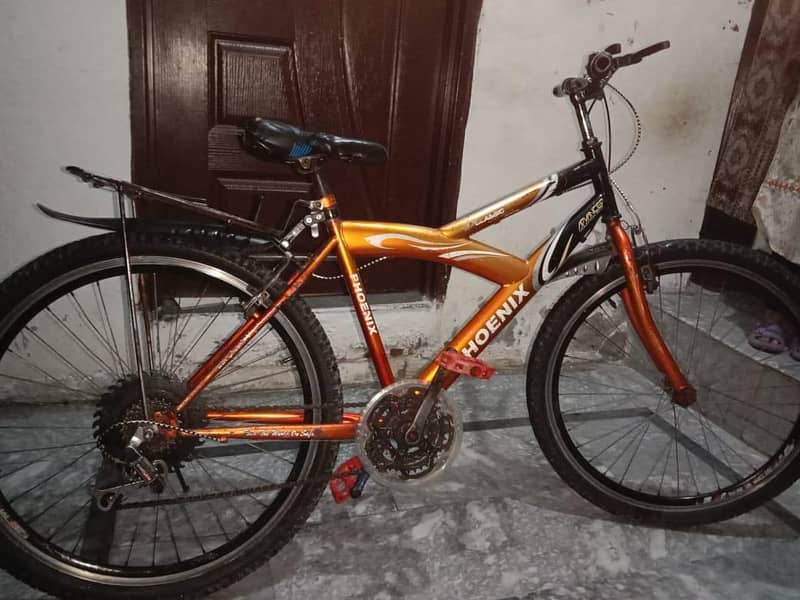 phoenix cycle 7