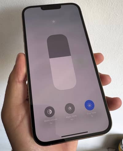 iPhone 13 Pro Max jv