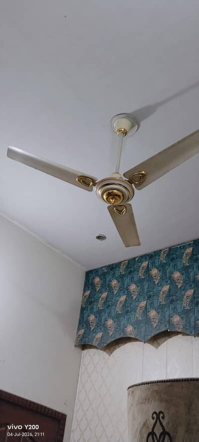 celling fan