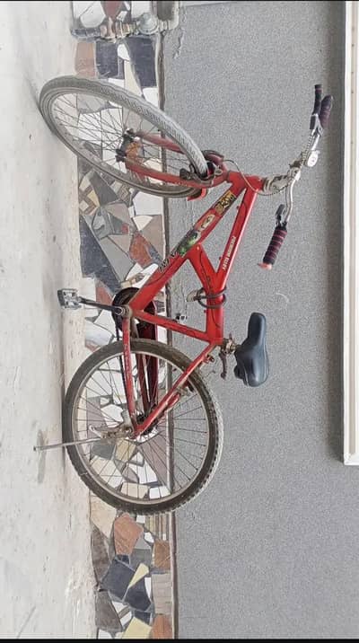 safari cycle