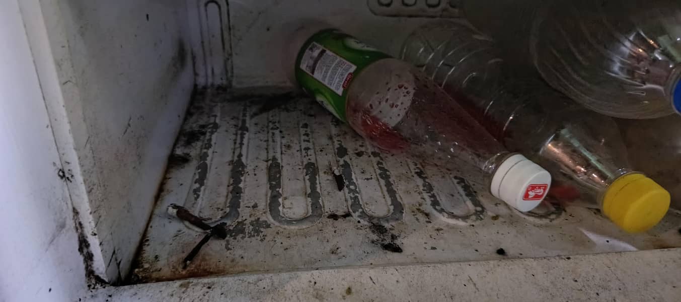 Orient freezer 7