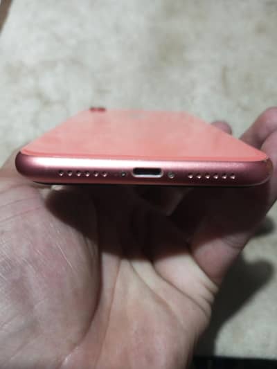 Apple iPhone XR