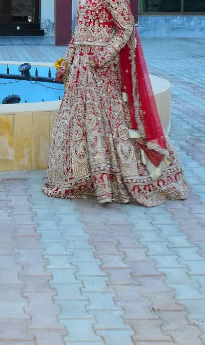 ( bridal dress )(lehanga choli)(Attach cancan) like brand new