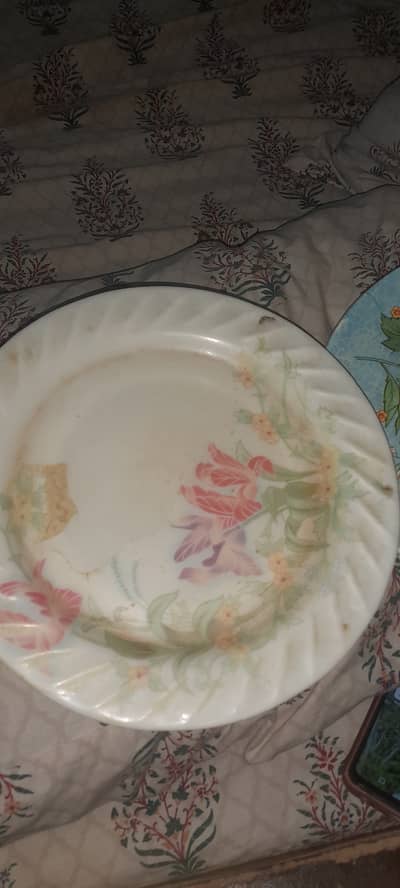 Safari Plates