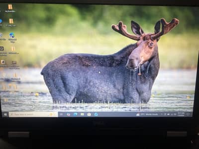 Dell latitude e5570