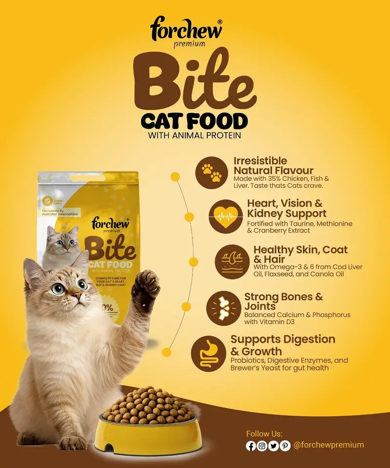 Forchew cat food — photo 2