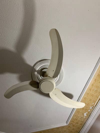 PARVAZ FAN