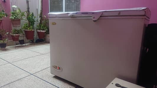 Deep Freezer | Waves | Single Door Freezer