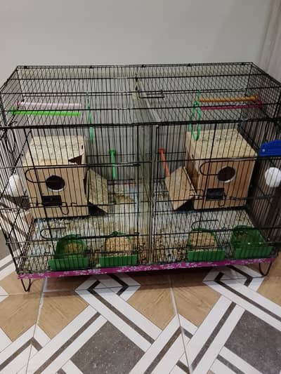 Cage available for sale