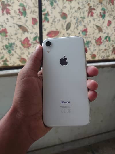 Exchange and Sale Iphone XR 256GB