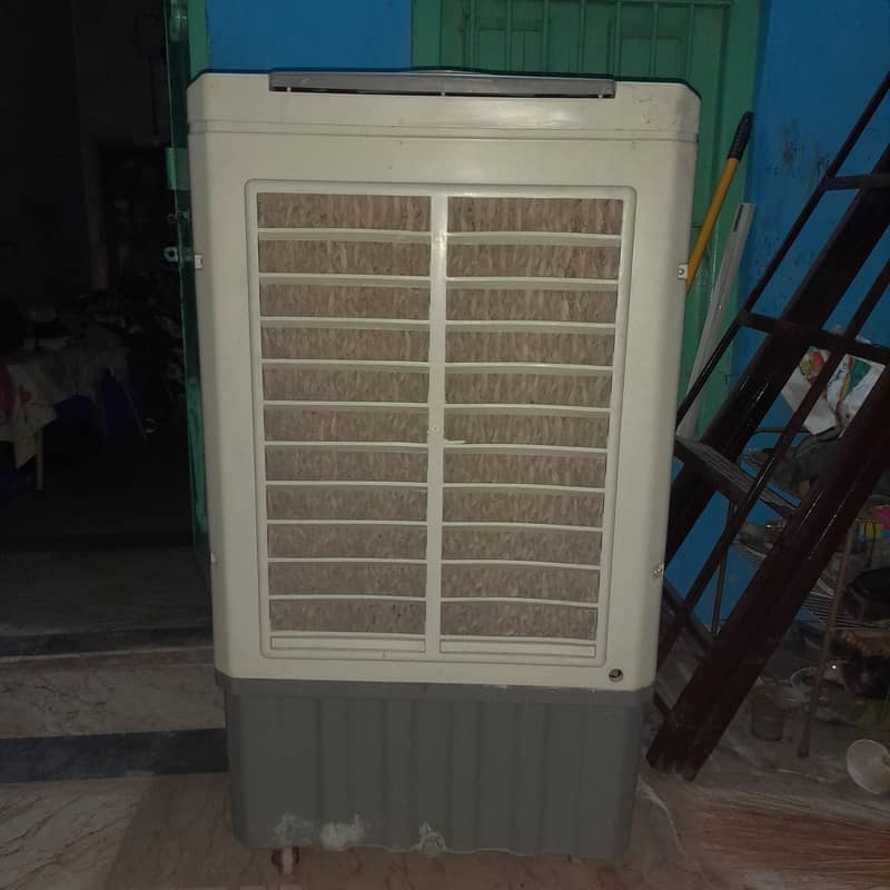 neat condition 1