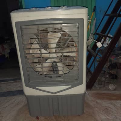 neat condition