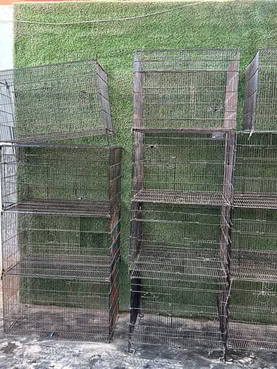 urgent sale heavy duty bird cages best price jaldi contact karein