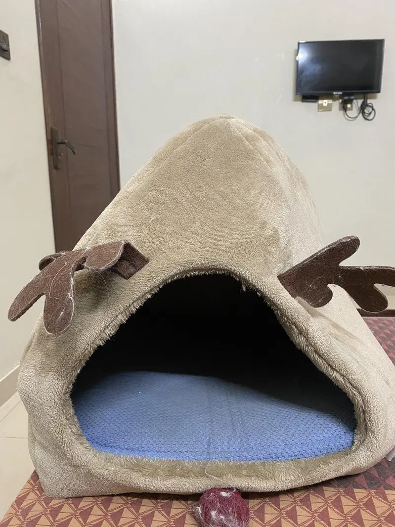 cat bed karachi only — photo 2