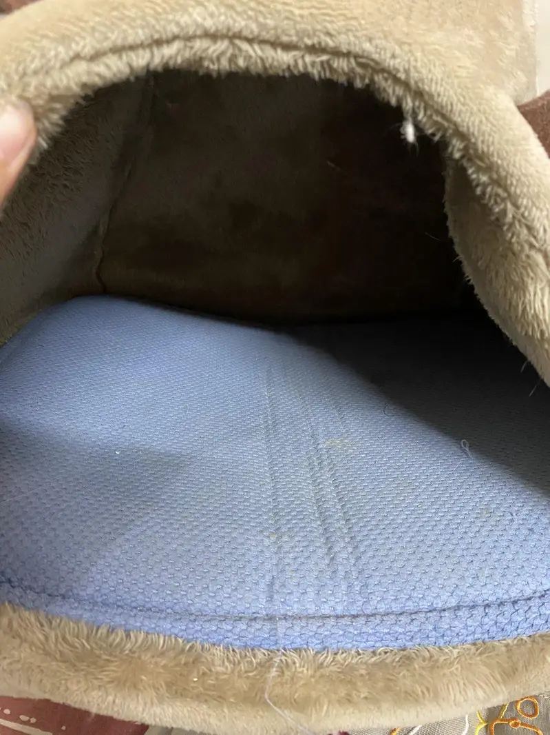 cat bed karachi only — photo 3