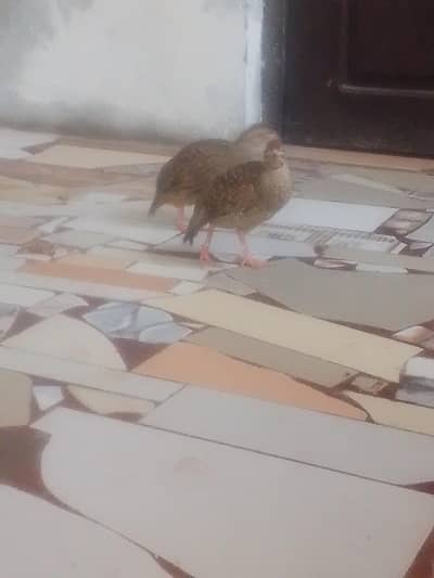 10:50