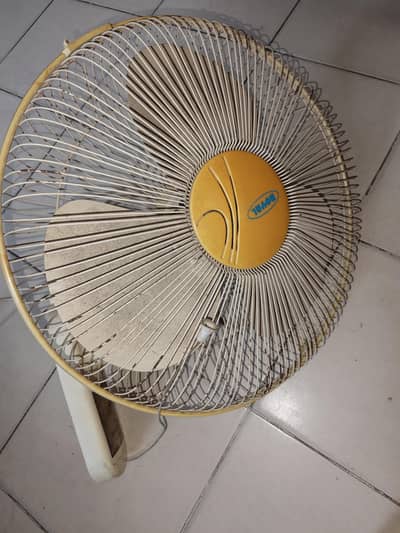 royal fan