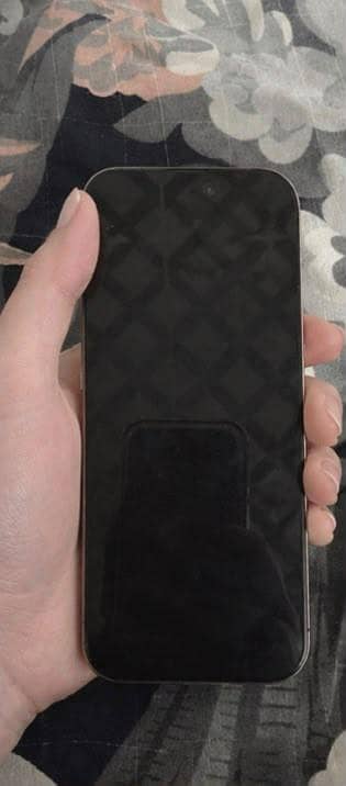 Apple iPhone 16 Pro Max 1
