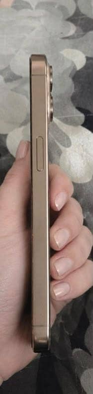 Apple iPhone 16 Pro Max 4