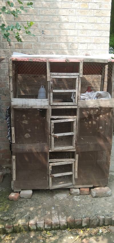 hen and bird cage
