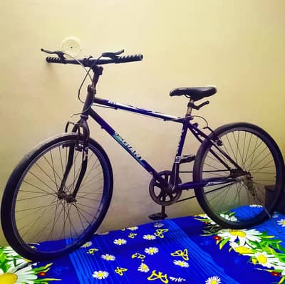 bicycles