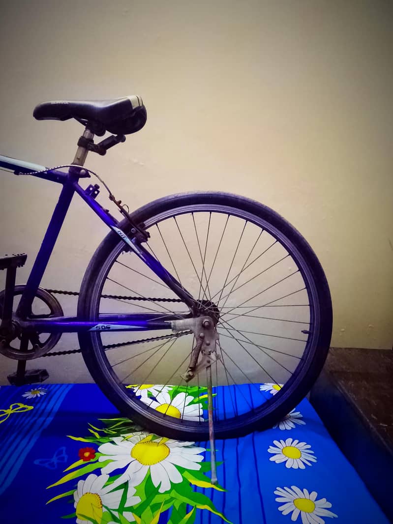 bicycles 1