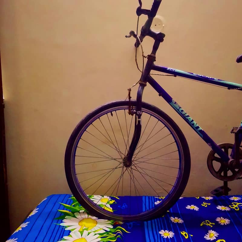 bicycles 2