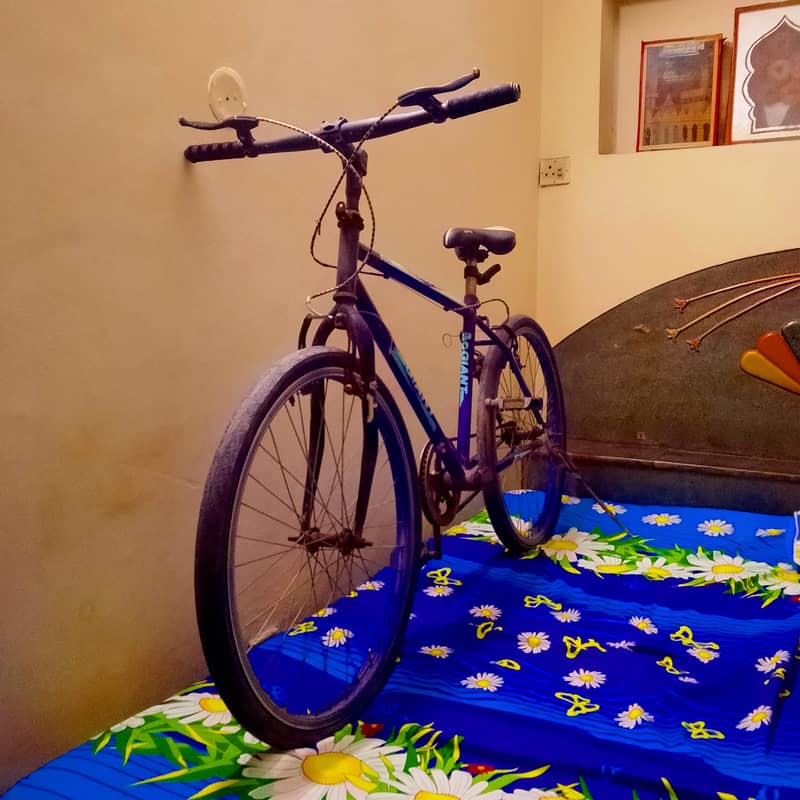 bicycles 3