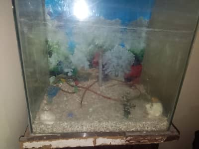 fishing box