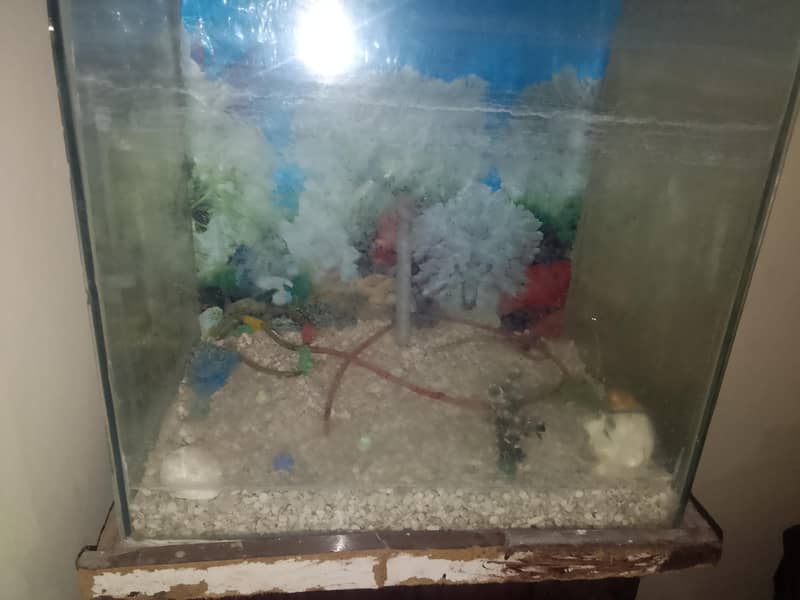 fishing box 0