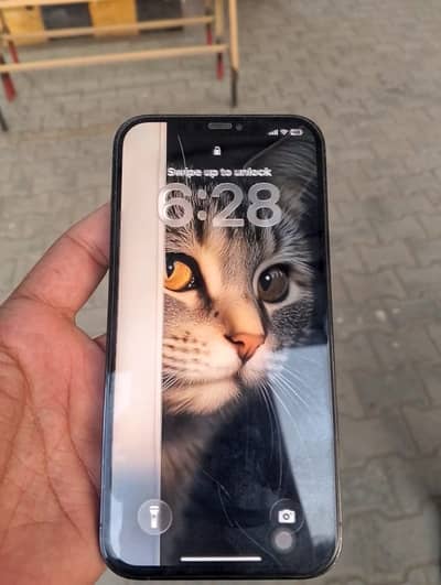 Apple iPhone 12 Pro Max