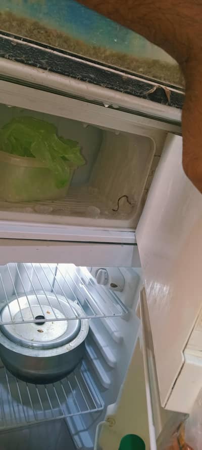 Dawlance freezer