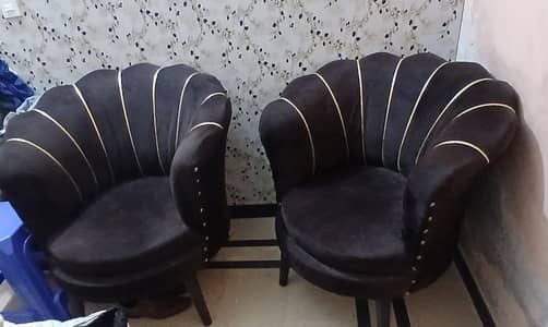 Pair of Coffee Chairs
