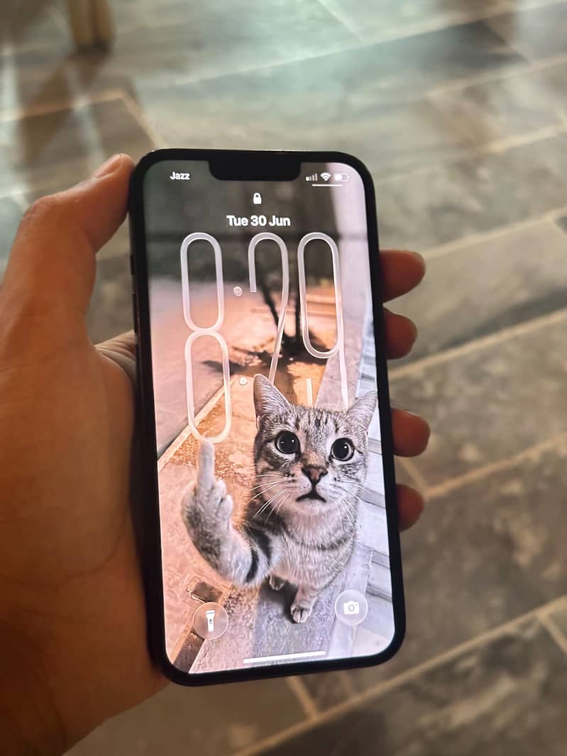 Apple iPhone 13 1