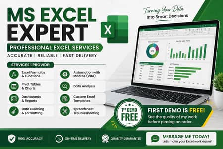 Ms excel expert