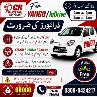 Yango drivers hiring