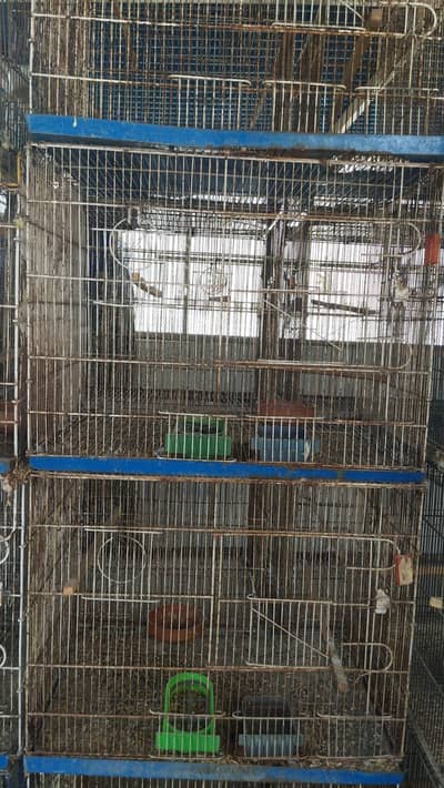 1.5 by 2 five portion cage for budgies Australian finch java lovebird