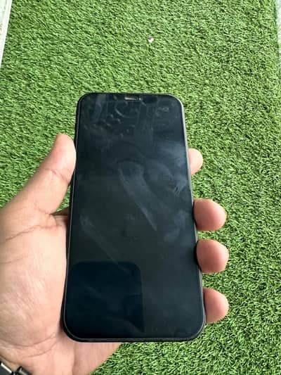Apple iPhone 12