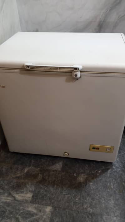 haire D freezer single door