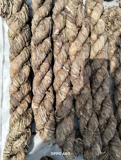 120 KG Desi Tambaku for Sale in Sheikhupura