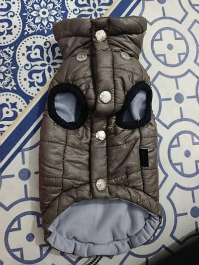 cat jacket imported for sale