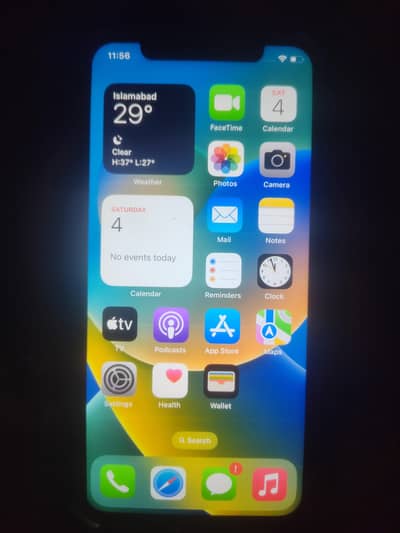 Apple iPhone X