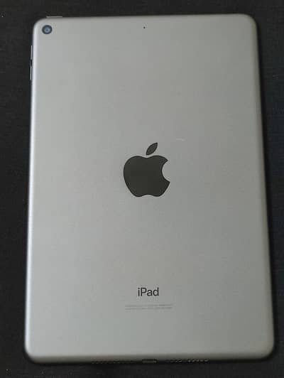 ipad mina 5